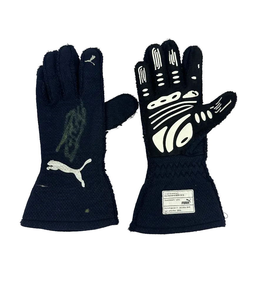 announcements/30ace227-f0d1-4d98-8929-ca3ce0fdc864/1790352063278-par-de-luvas-campeao-stock-car-felipe-fraga-autografada-1.webp