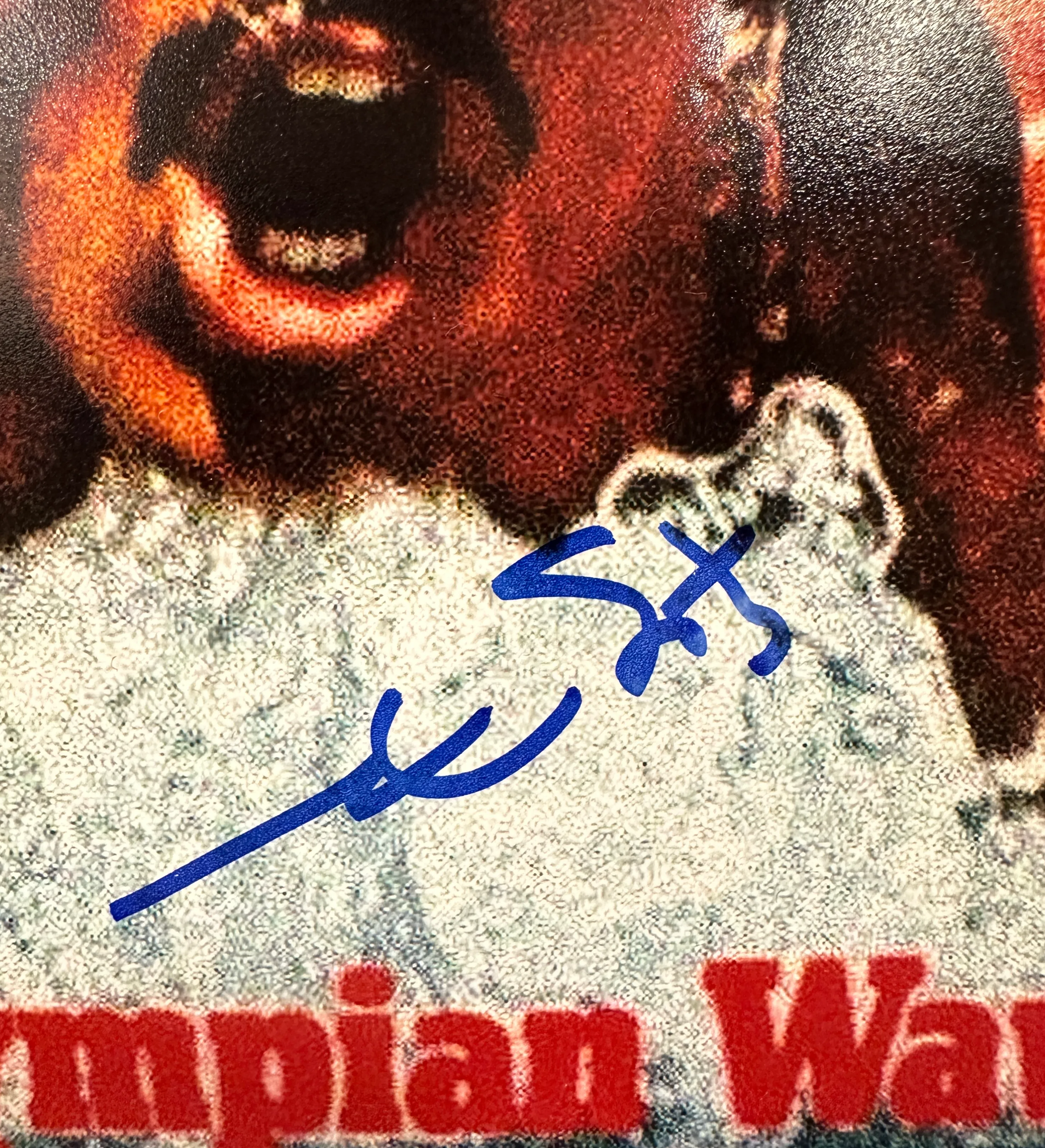 Quadro – Mark Spitz – Autografado – Certificação Beckett Authentication Services — imagem 2 de 2