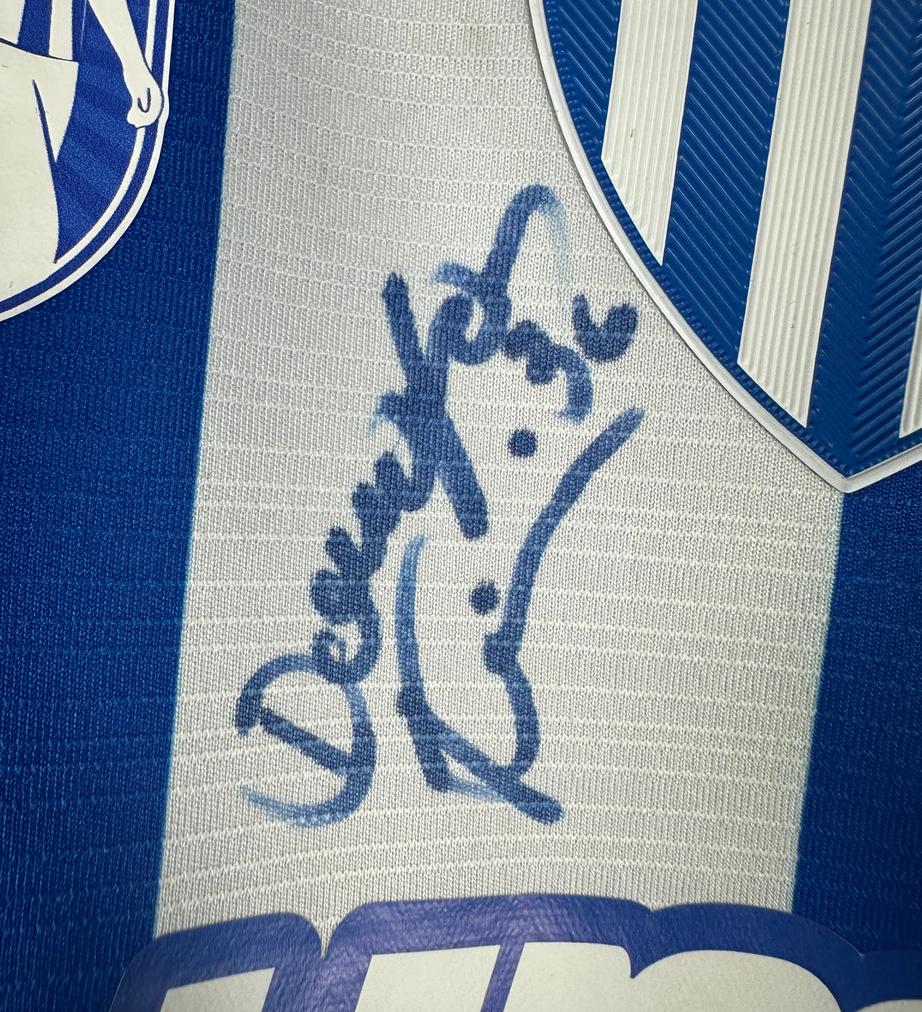 Camiseta Avaí - Douglas Teixeira #36 - Mães Leoas - AVA x FOR - Brasileirão B 2026 - Usada y Autografiada por el Jugador — imagem 4 de 4