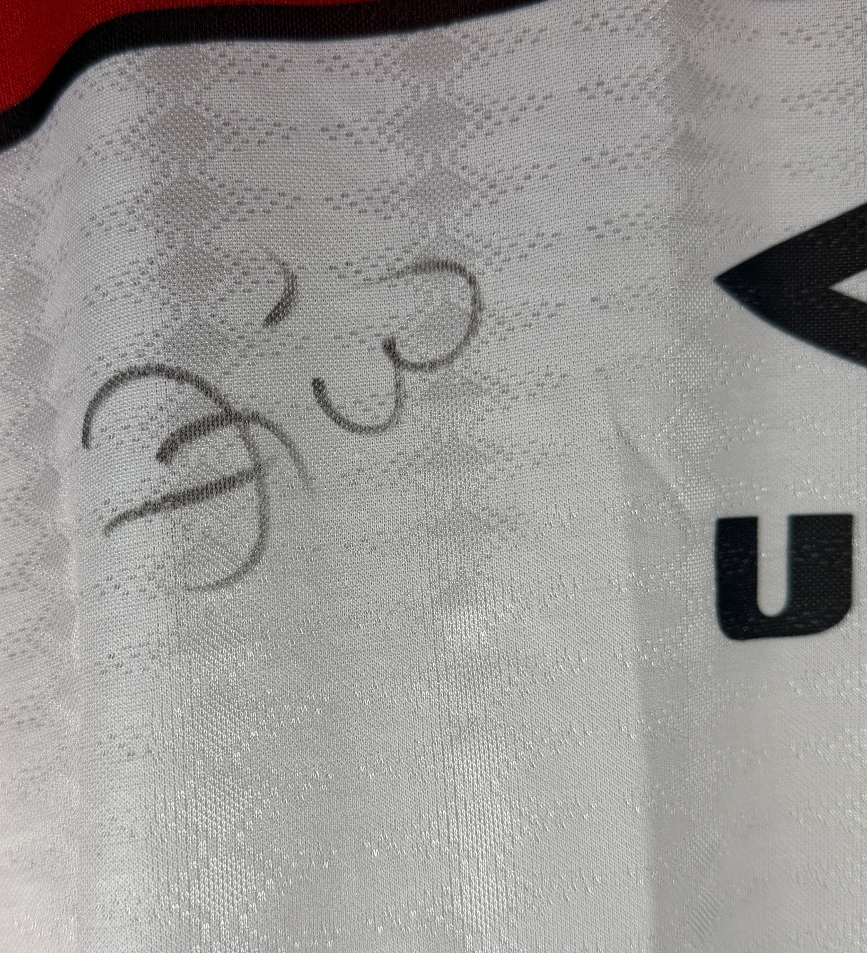 Camisa Treino Flamengo 1995 Autografada Pelo Zico — imagem 3 de 4