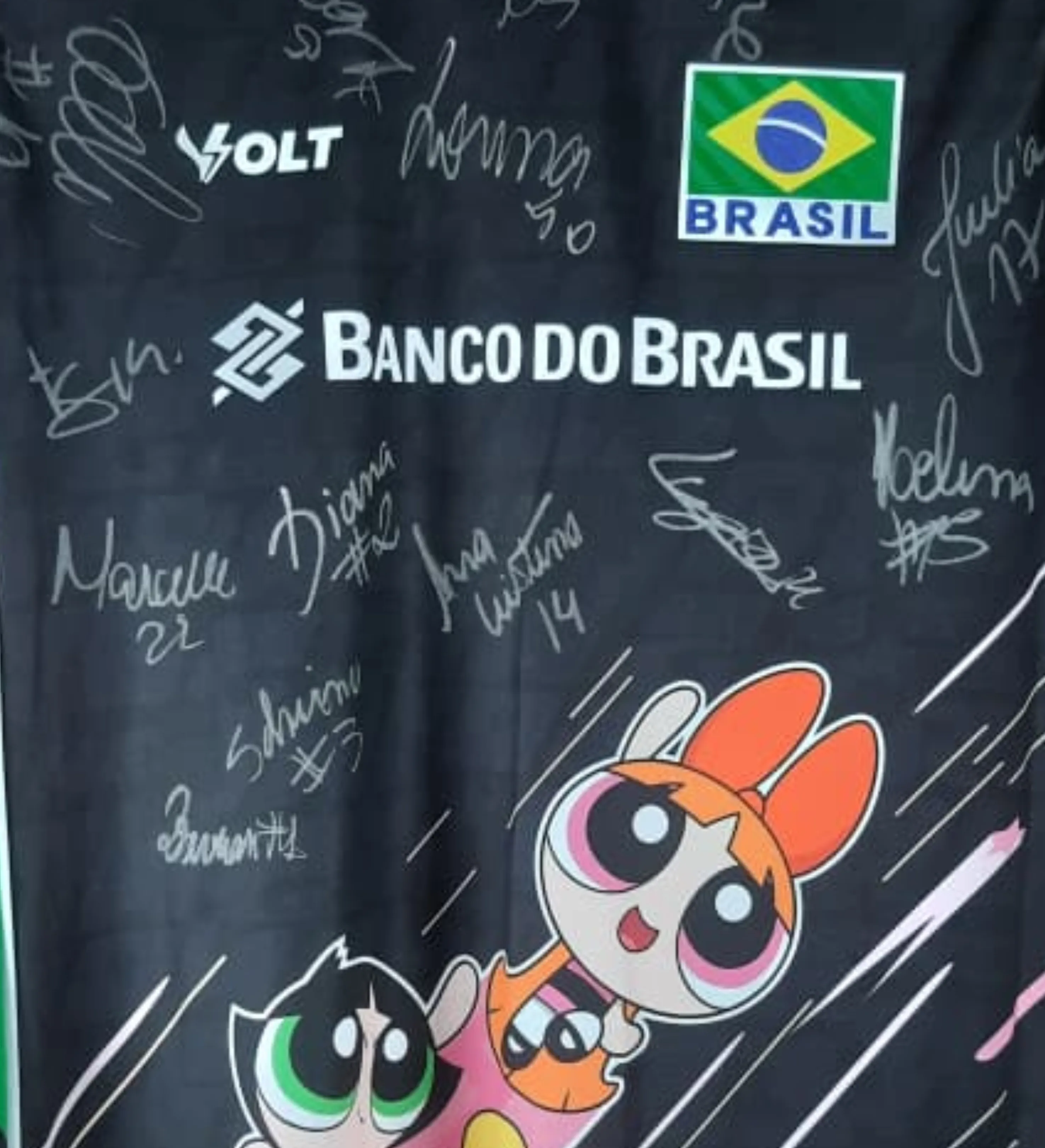 Camiseta Autografada Seleção Feminina De Vôlei Campeã Do Sul-Americano 2026 — imagem 3 de 3