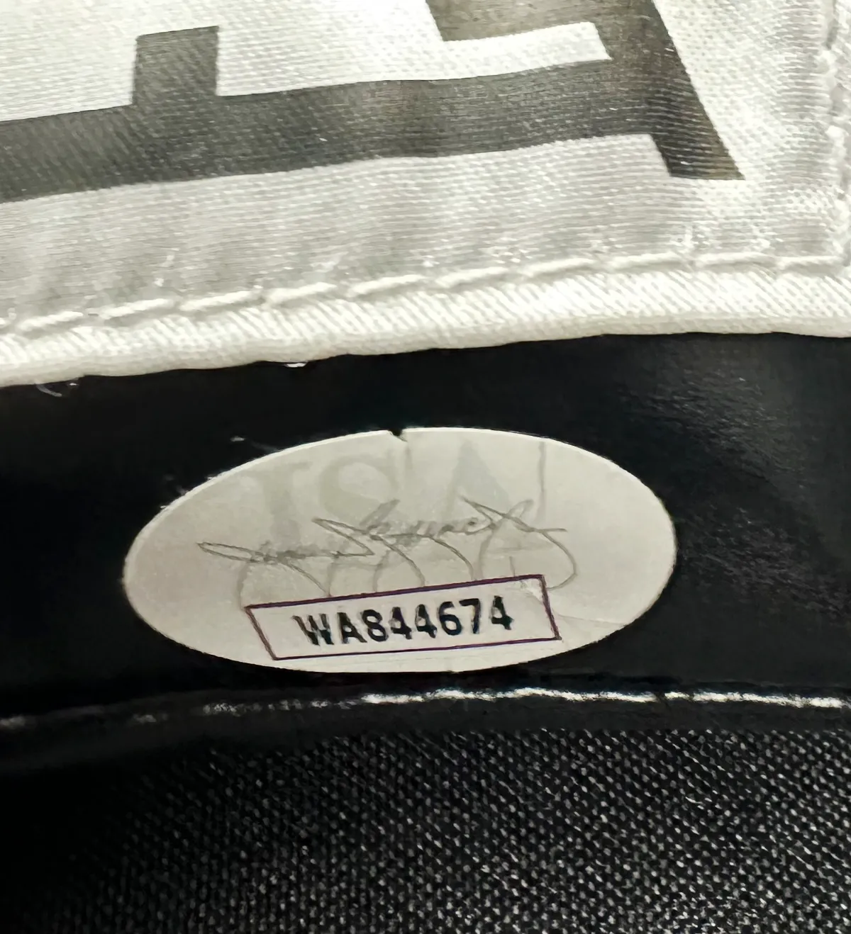 Luva Everlast - Mike Tyson - Autografada com Certificado JSA (WB913176) — imagem 5 de 5
