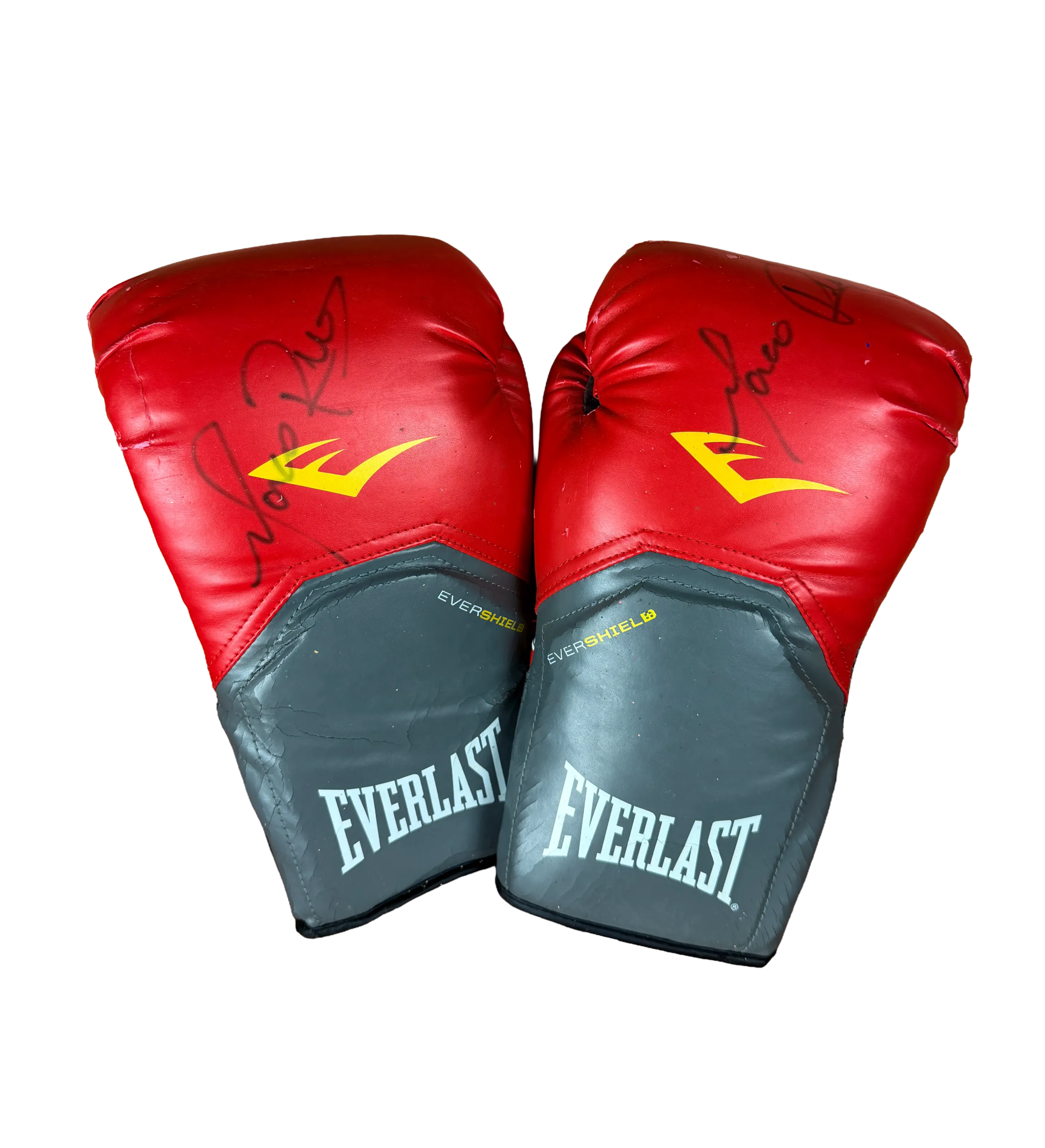 Luvas de Boxe Everlast Evershield - Autografadas pelo Marco Ruas — imagem 1 de 2