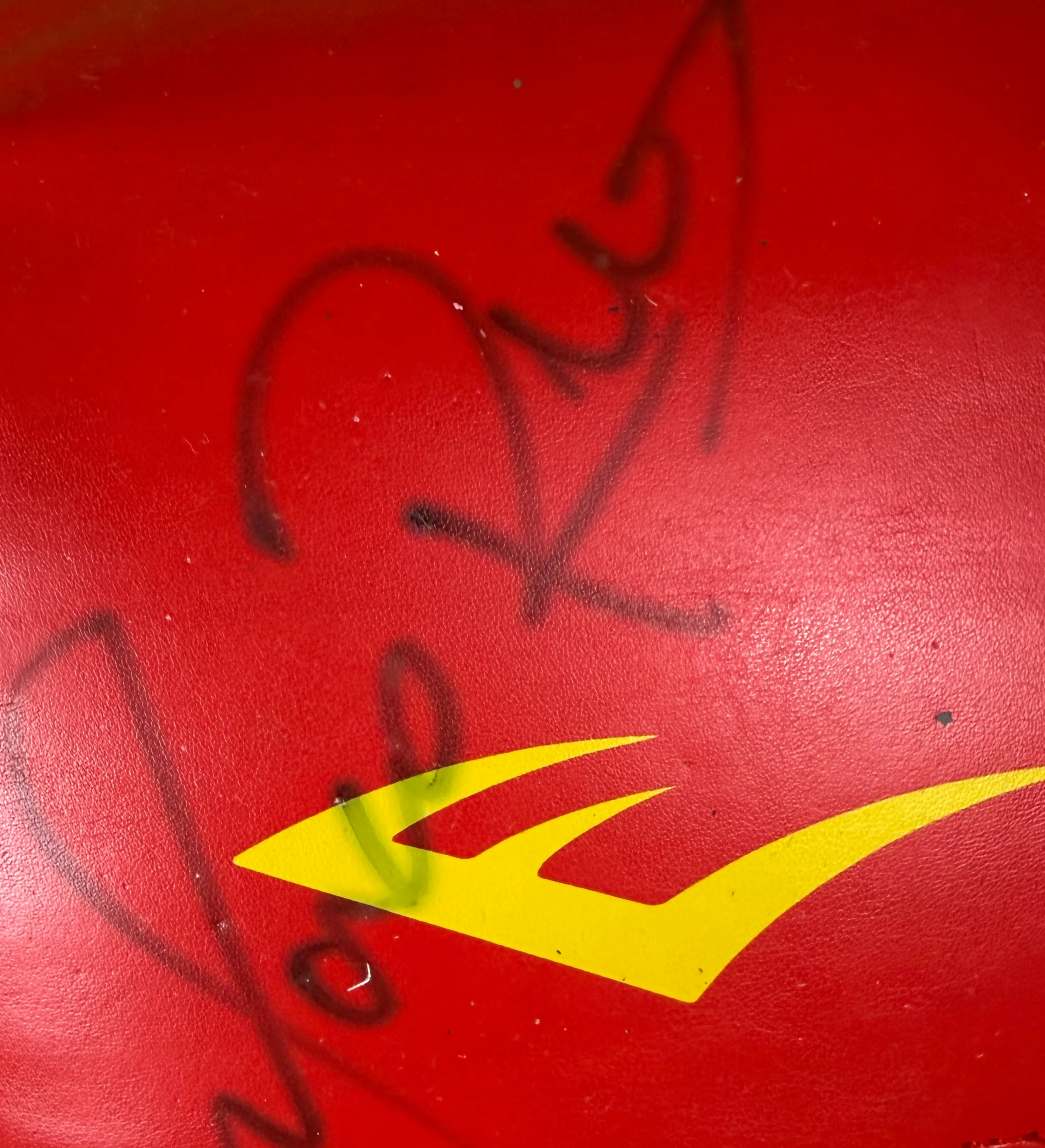 Luvas de Boxe Everlast Evershield - Autografadas pelo Marco Ruas — imagem 2 de 2