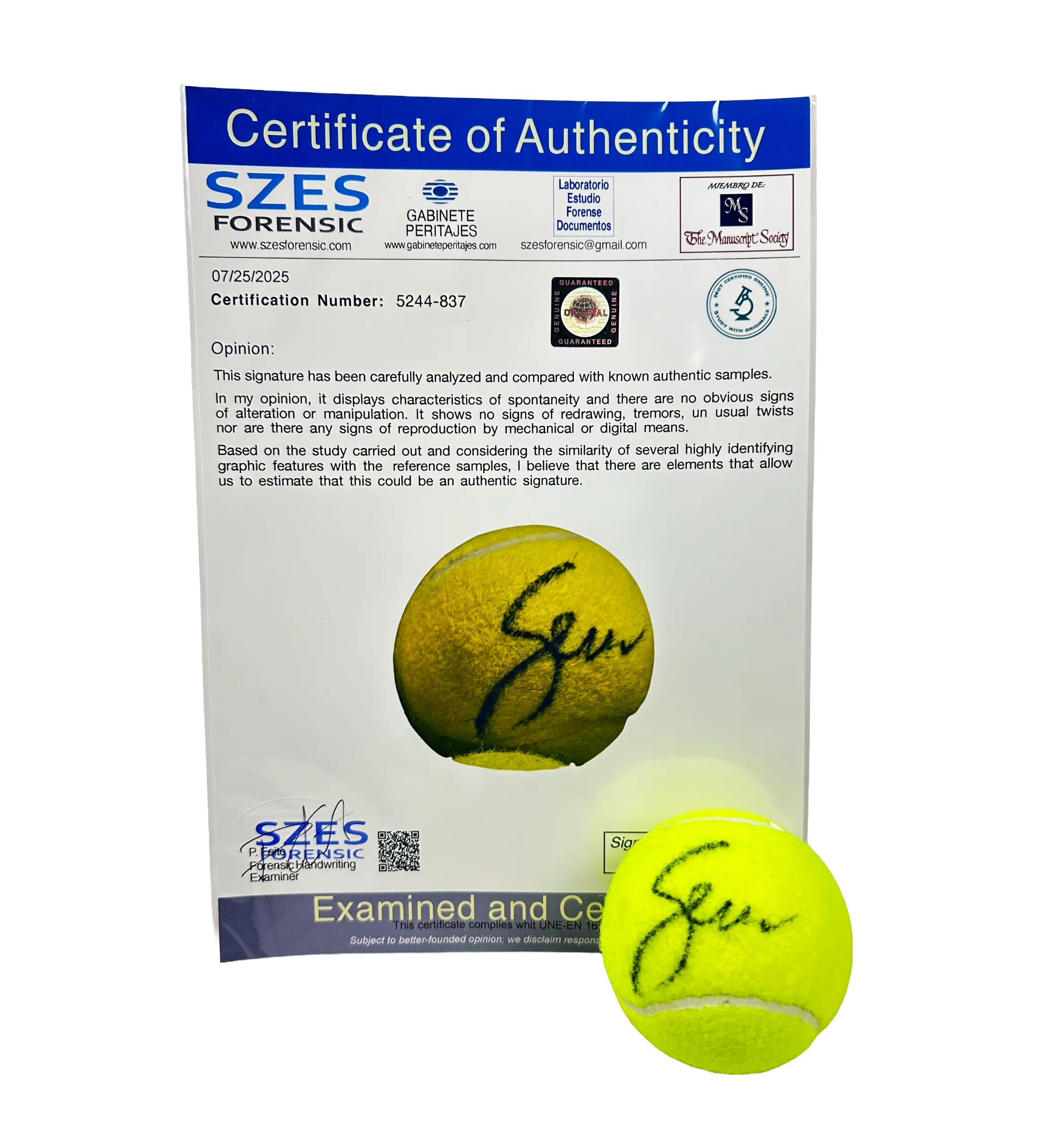 Ball - Serena Williams - Wilson T1 - International Expertise — imagem 1 de 3