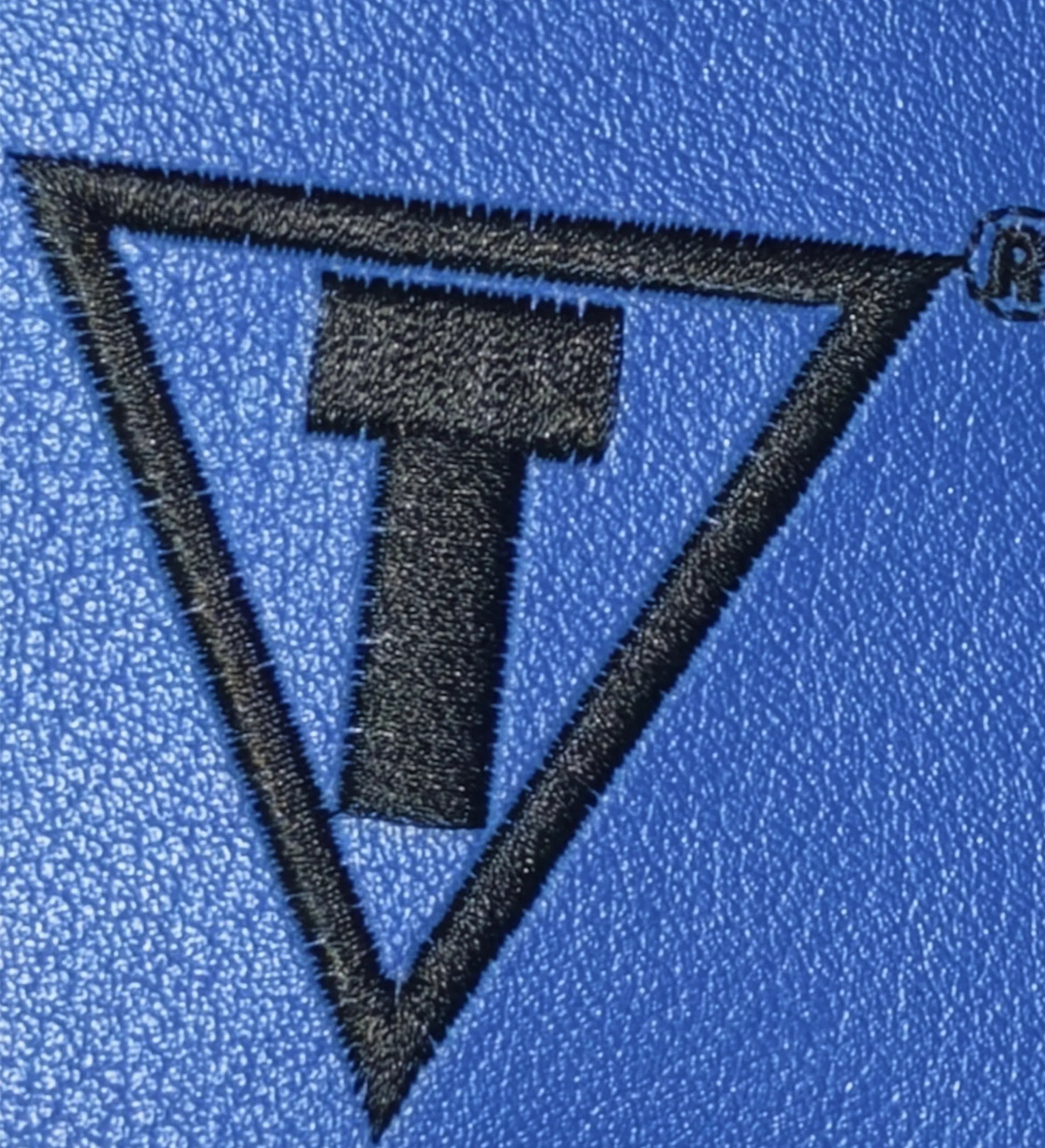 Bota de Boxe TITLE Mike Tyson Autografada pelo Ídolo — imagem 5 de 6