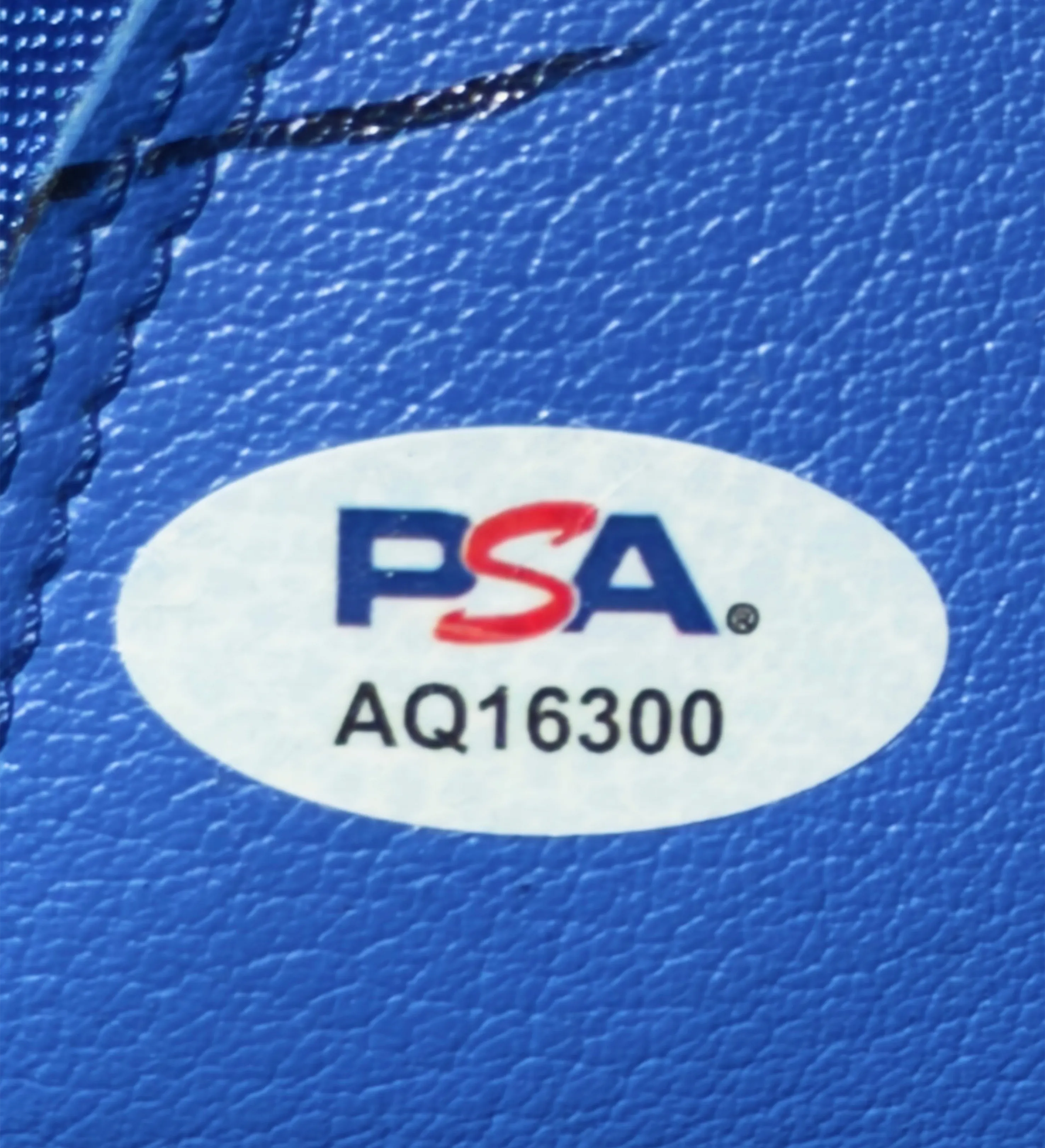 Bota de Boxe TITLE Mike Tyson Autografada pelo Ídolo — imagem 6 de 6