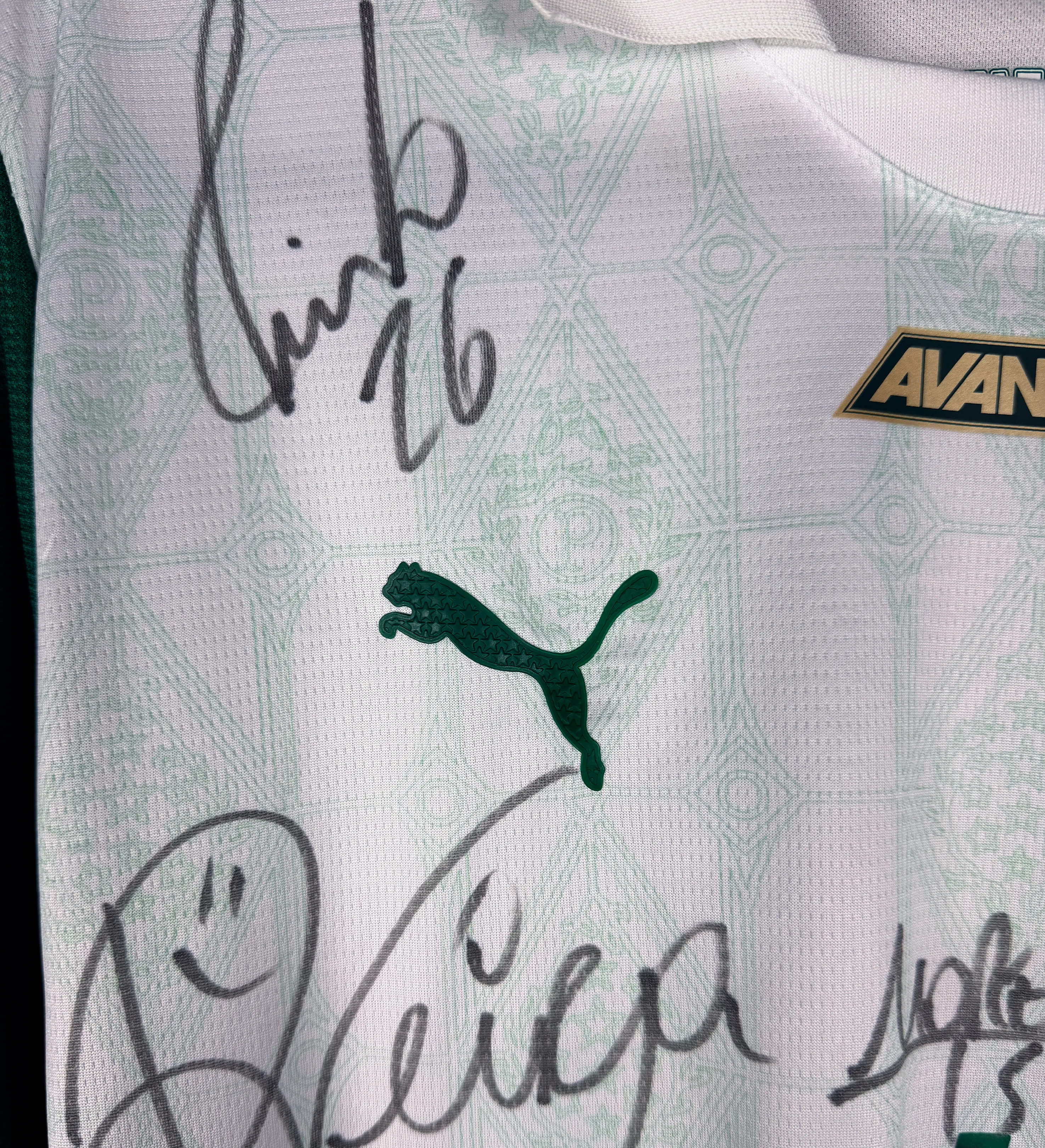 Palmeiras Jersey - Murilo - Truly a Champion - Autographed by the Squad — imagem 4 de 5