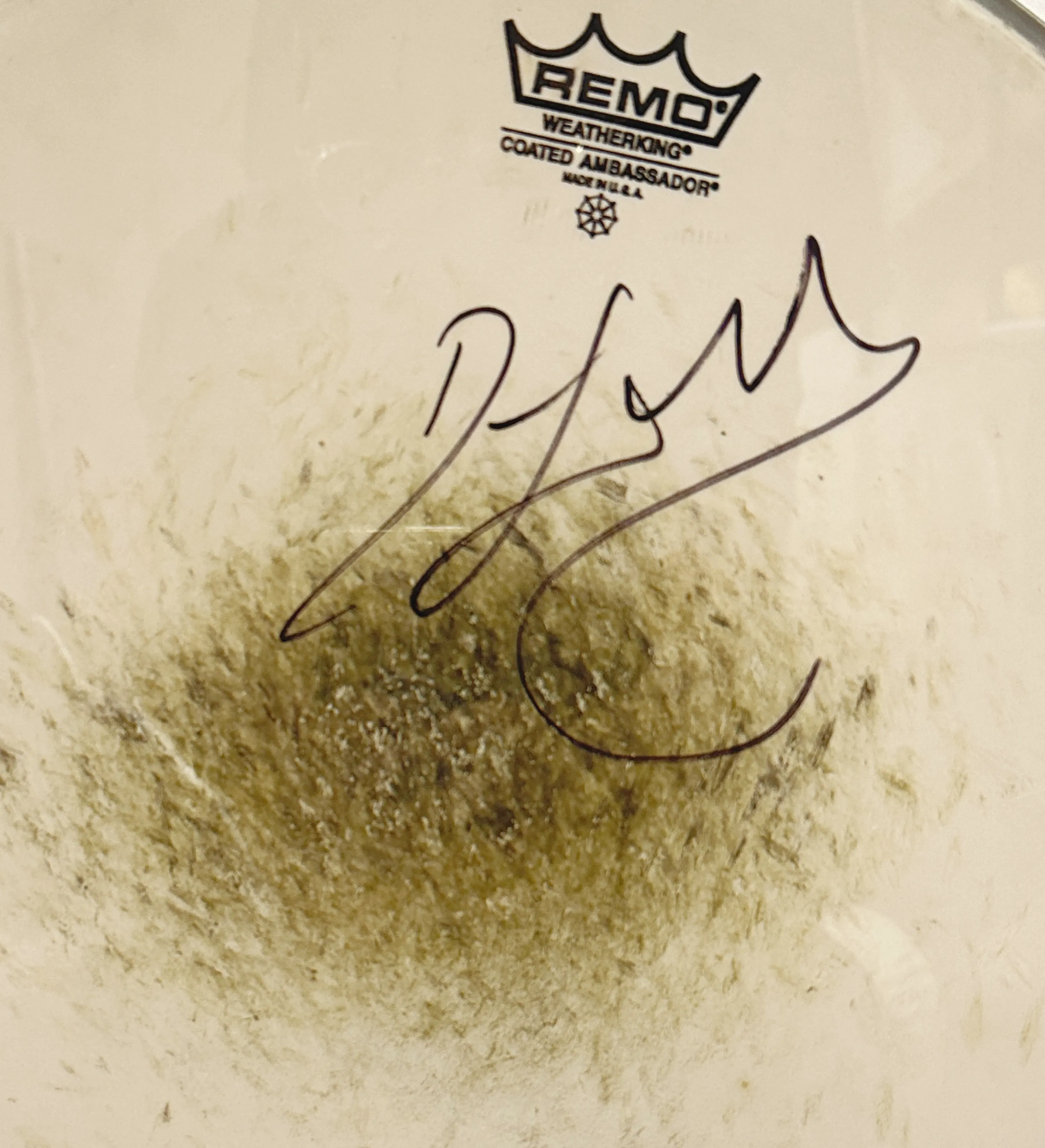 Pele de Bateria Slayer Autografado pela Banda Certificado de Autencidade Marcos Hermes — imagem 2 de 2