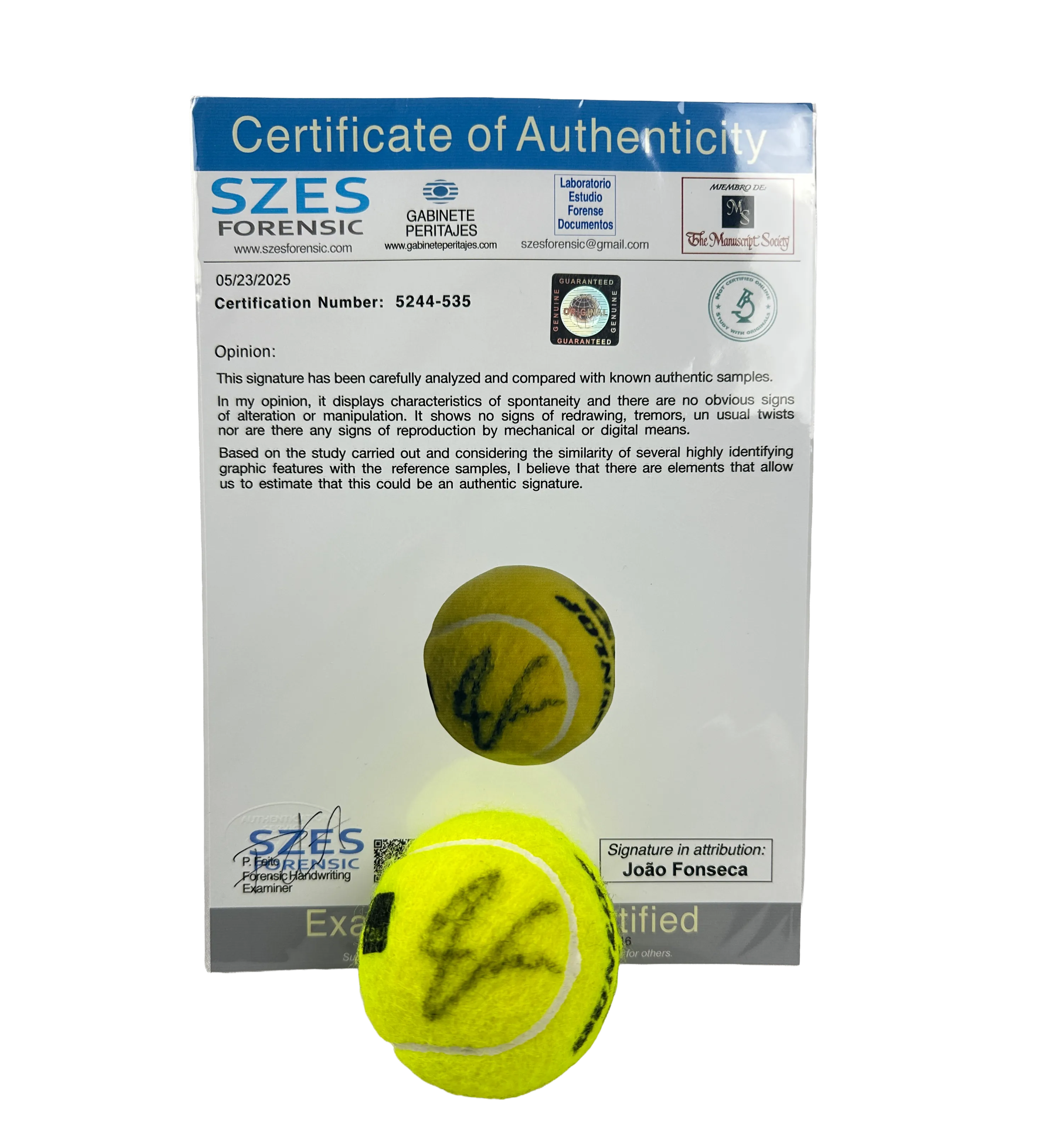 Official Miami Open Tennis Ball Autographed by João Fonseca — imagem 1 de 4