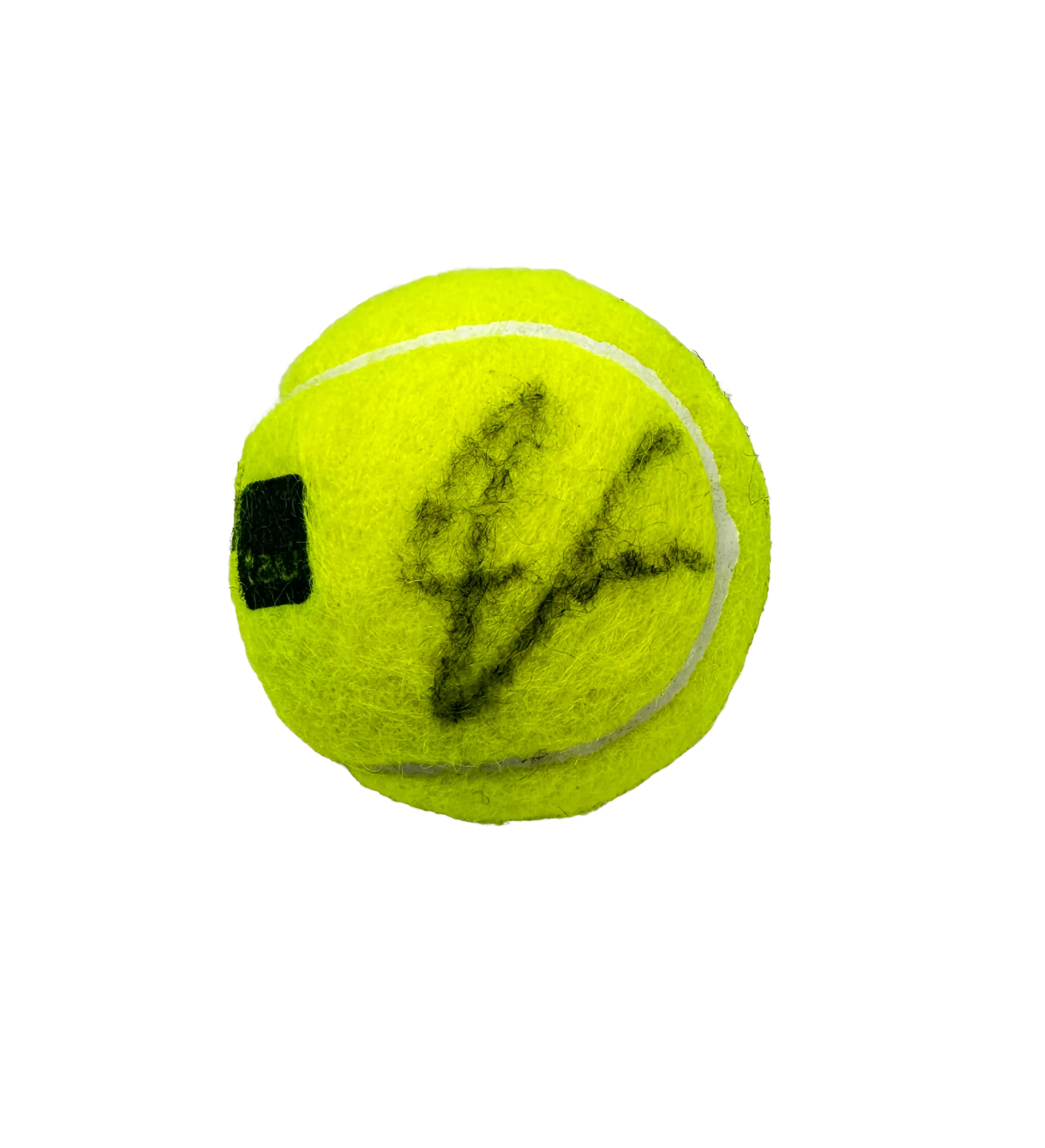 Official Miami Open Tennis Ball Autographed by João Fonseca — imagem 2 de 4
