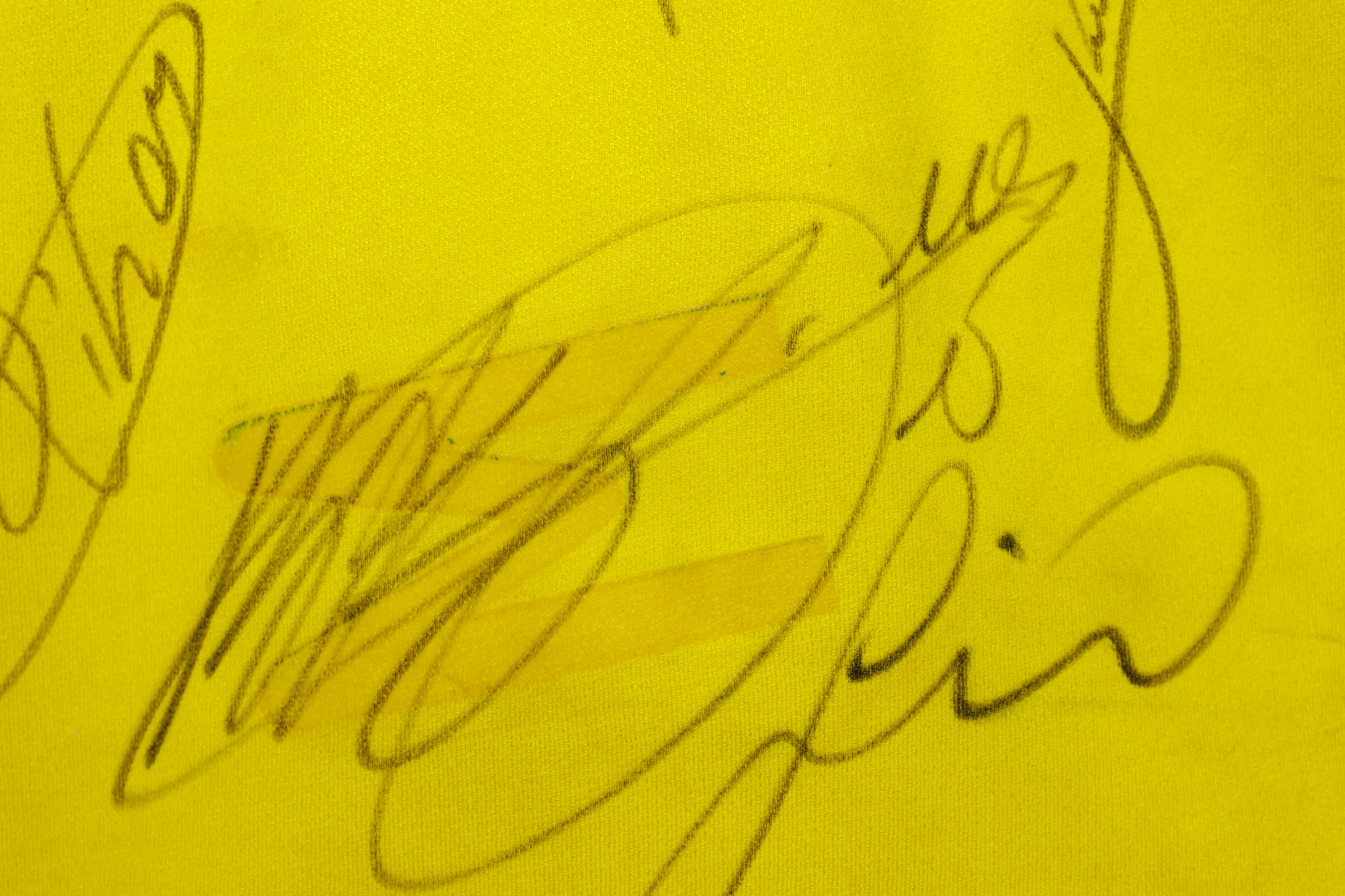 Camisa Brasil Ronaldo Temporada 2002 Autografada pelo Elenco — imagem 6 de 13