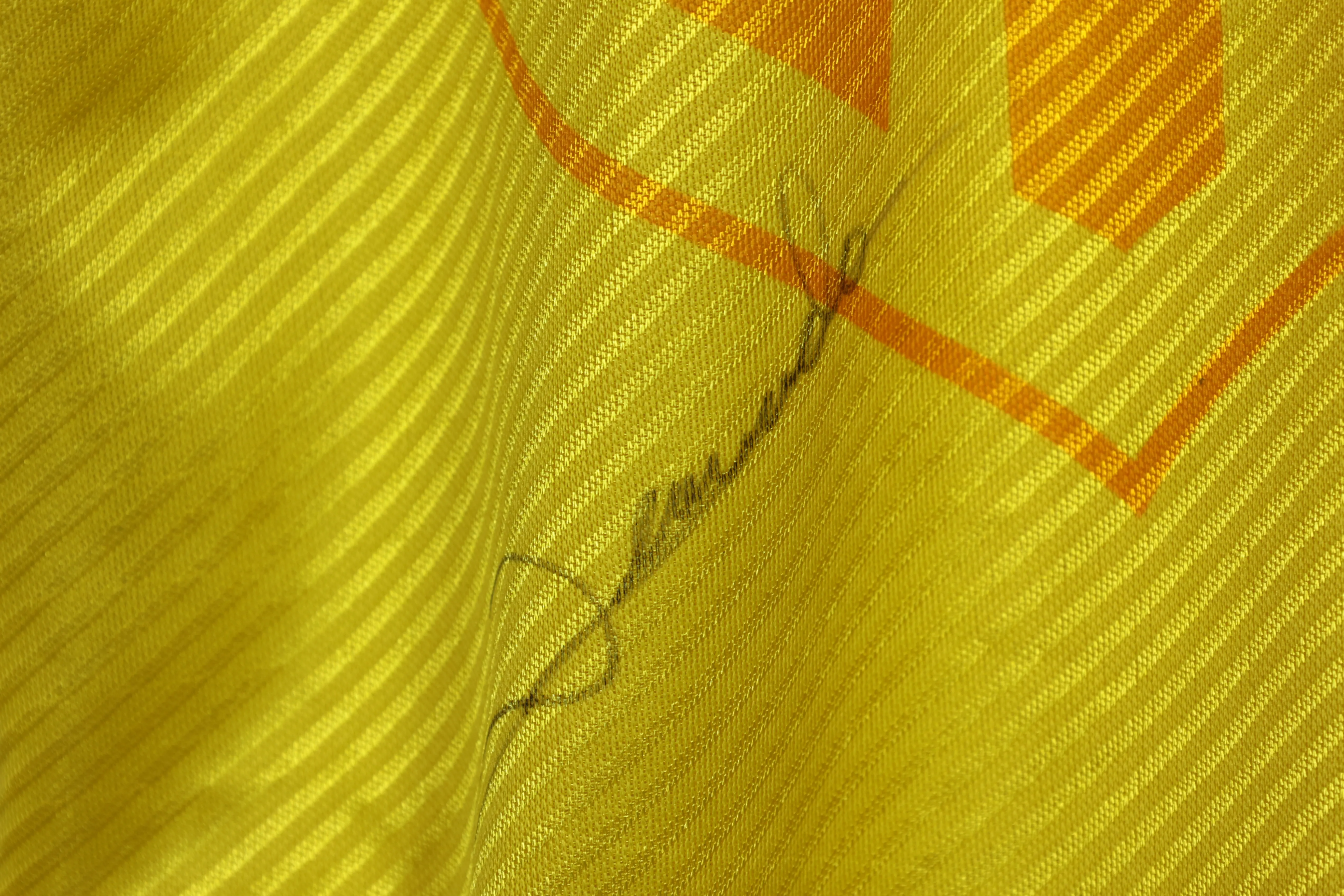 1994 Brazil National Team Romário Jersey Signed by the Squad — imagem 15 de 16