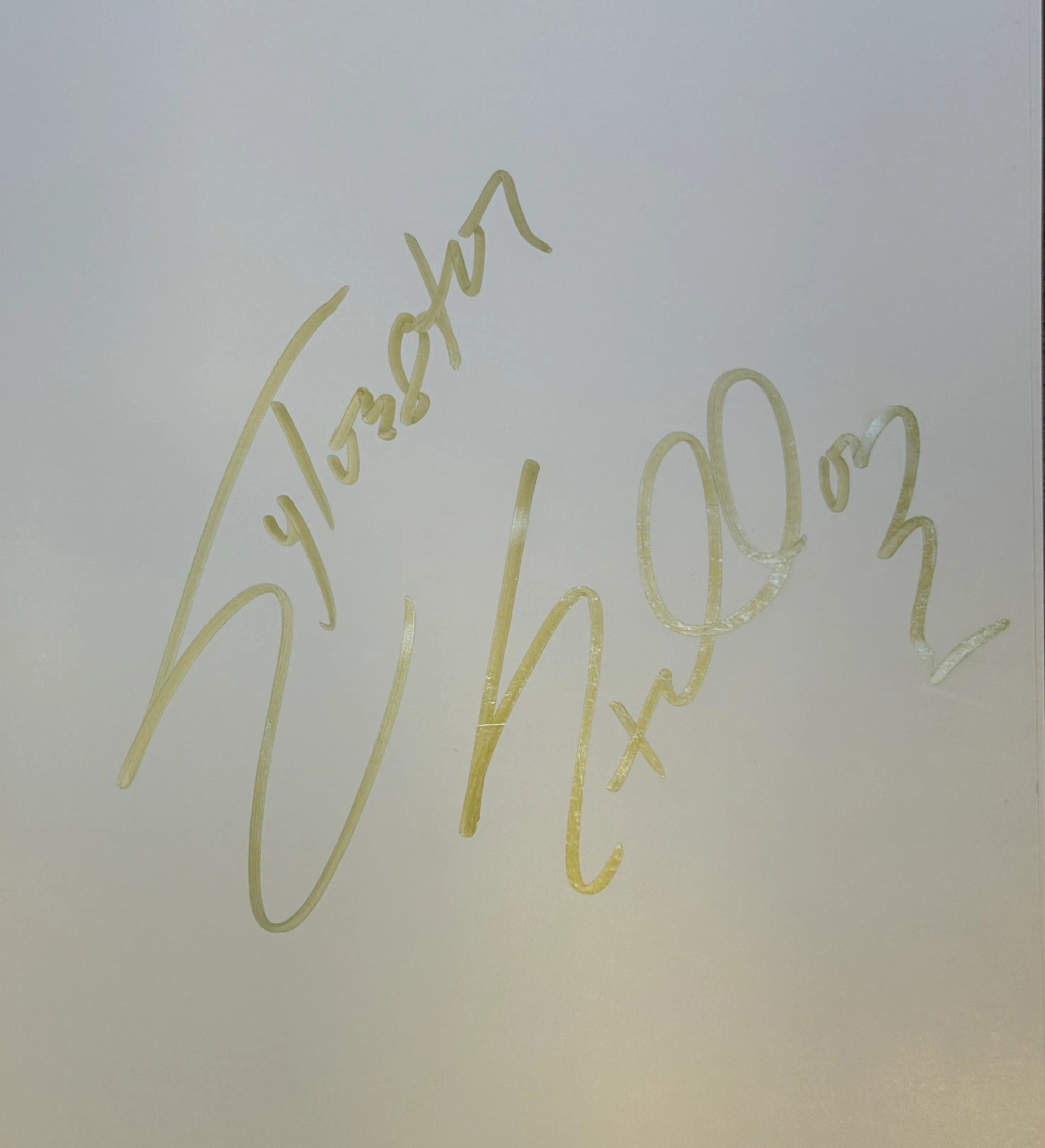 Livro Ofical - Importado - Rocky Balboa - The Making Of the Rocky Statue 2026 - Autografado pelo Idolo Sylverter Stallone + Miniatura da Estatua de Rocky Balboa na Philadelphia — imagem 5 de 5