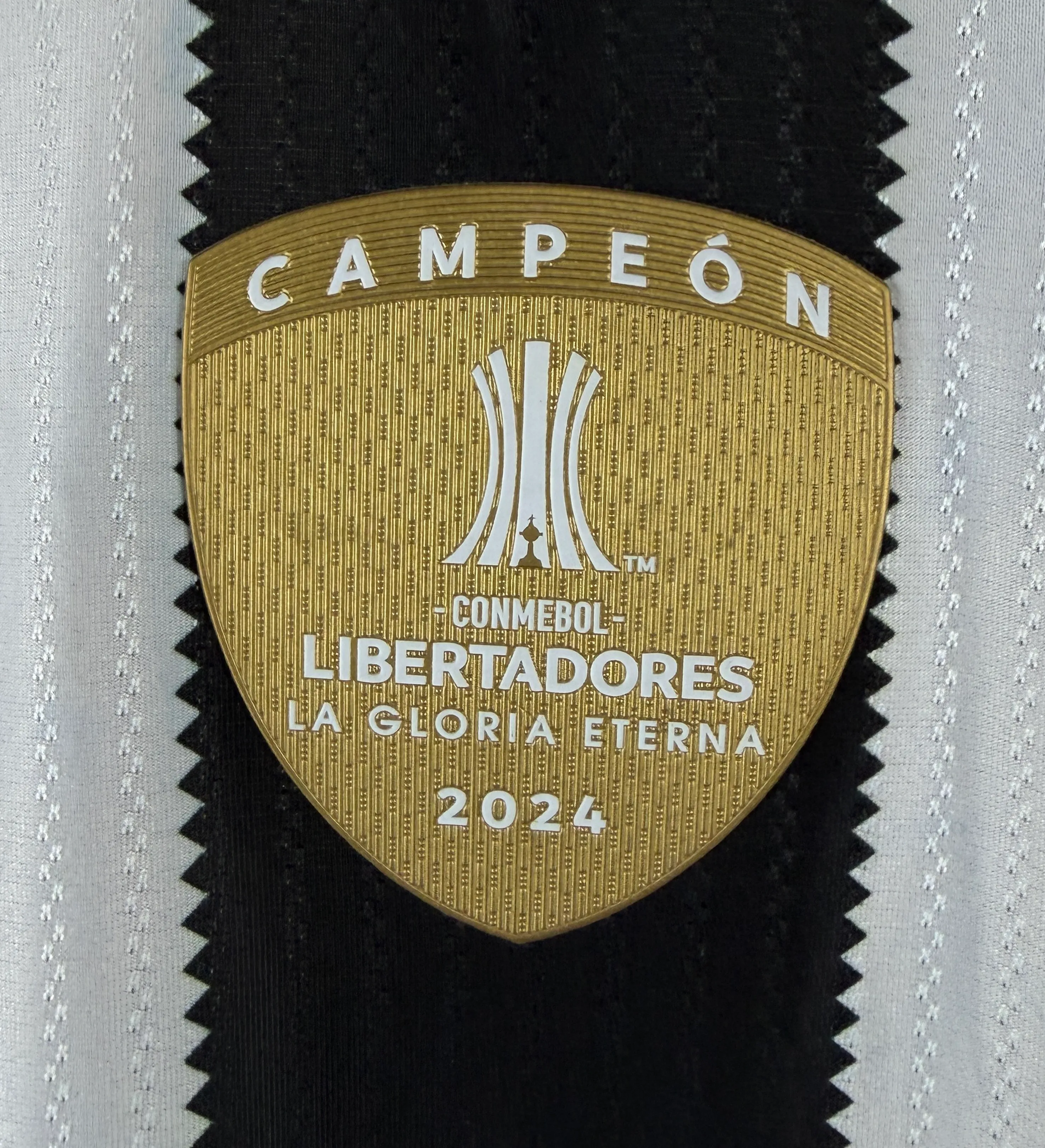 Botafogo Jersey – Alex Telles – 2025 Copa Libertadores – Botafogo 2 x 0 Carabobo – Tribute to Goalkeeper Manga – Signed by Alex Telles — imagem 5 de 7