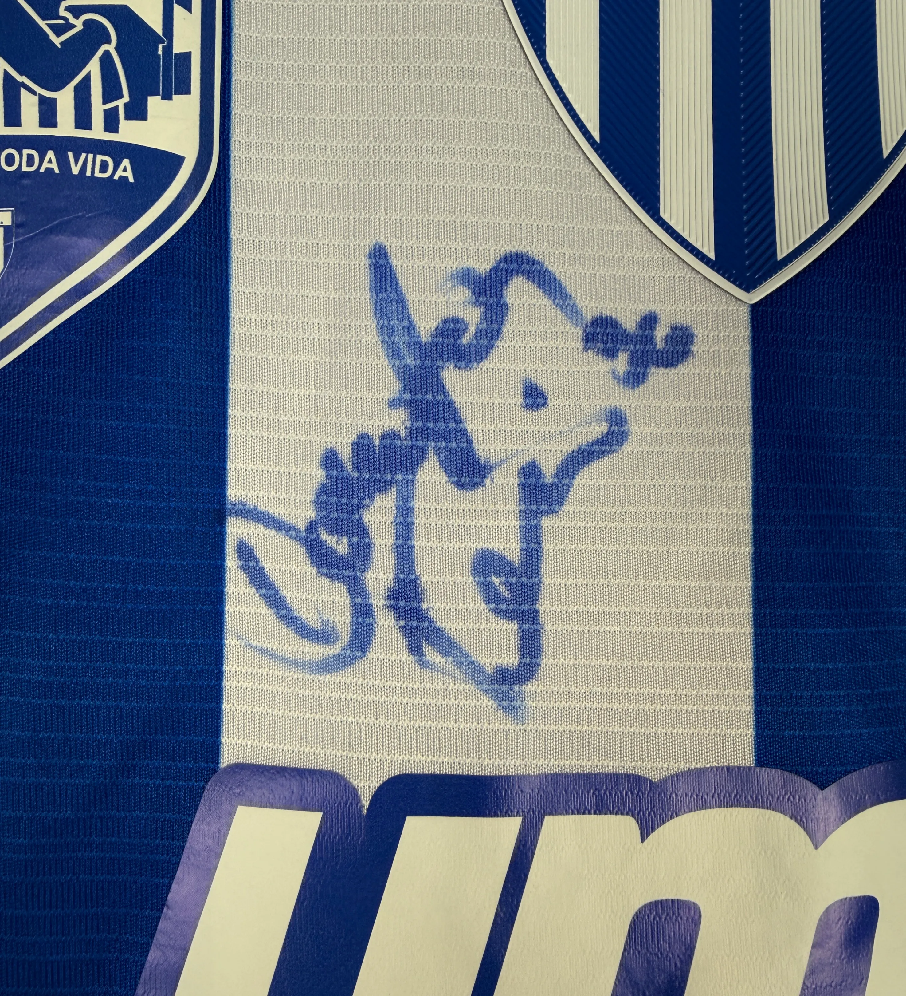 Camiseta Avaí Douglas Teixeira Parche Día del Padre AVA vs CRB Usada en Partido y Firmada — imagem 4 de 7