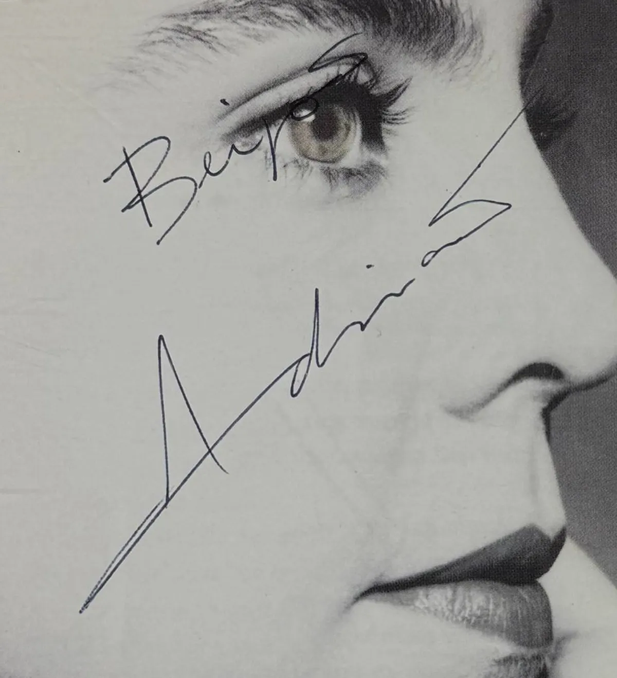 CD Autografado Adriana Calcanhoto Perfil Os Maiores Sucessos 2001 — imagem 3 de 3