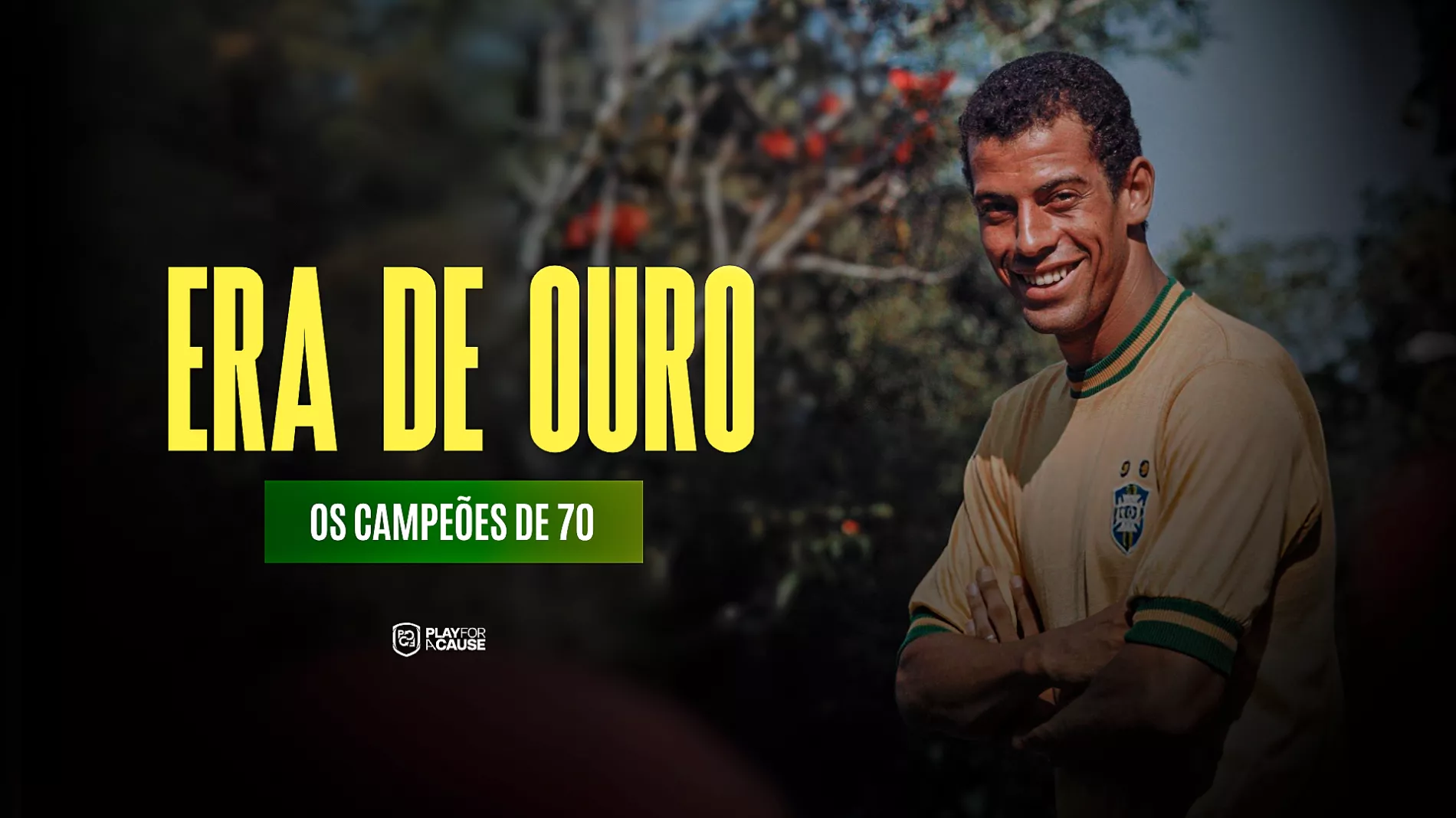 Brazil National Team Retro Jersey – Carlos Alberto Torres – 1970 World Cup – Signed by the Captain — logo da campanha